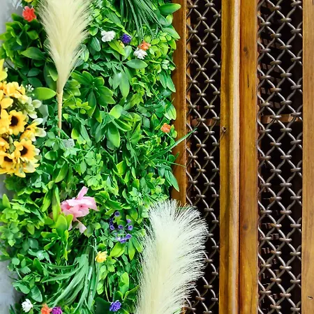 Apollon Θεσσαλονίκη